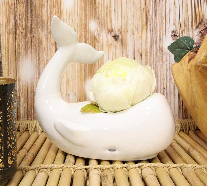 ebros gift Ebros Ceramic White Nautical Coastal Marine Cachalot Sperm Whale Planter Pot Sculpture for Succulents Or Herbs Or As Sea Life Decorative Organizer Holder Decor Statue (Small 8" Long)