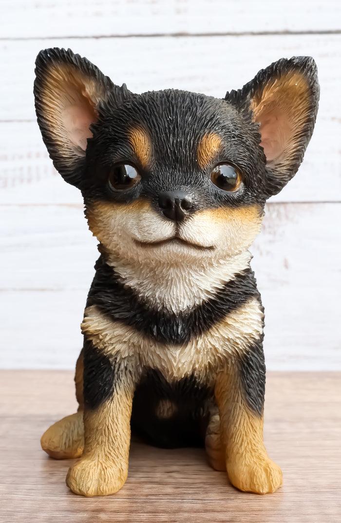ebros gift Ebros Chihuahua Dog Puppy Sitting Statue 6.25" High with Glass Eyes Figurine