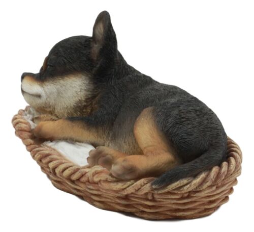 Ebros Gift Ebros Chihuahua Dog Sleeping In Wicker Basket Statue 6.5" Long Figurine