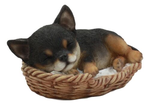 Ebros Gift Ebros Chihuahua Dog Sleeping In Wicker Basket Statue 6.5" Long Figurine