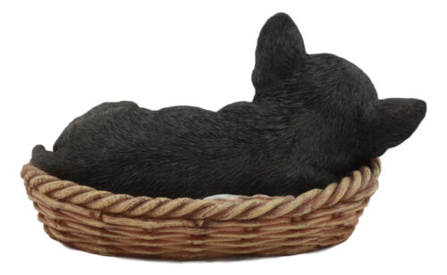 Ebros Gift Ebros Chihuahua Dog Sleeping In Wicker Basket Statue 6.5" Long Figurine