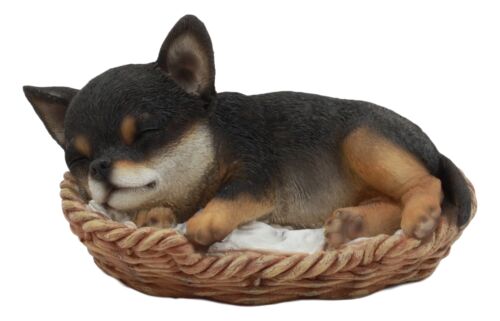 ebros gift Ebros Chihuahua Dog Sleeping in Wicker Basket Statue 6.5" Long Figurine