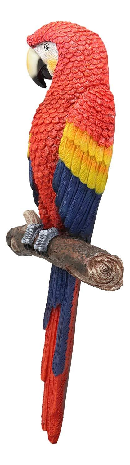 Ebros Gift Ebros Colorful Tropical Rainforest Paradise Rio Red Scarlet Macaw Parrot Perching On Branch Wall Hanging Decor Figurine 3D Plaque Sculpture Nature Lovers Birds Collectors Decor 14" Tall