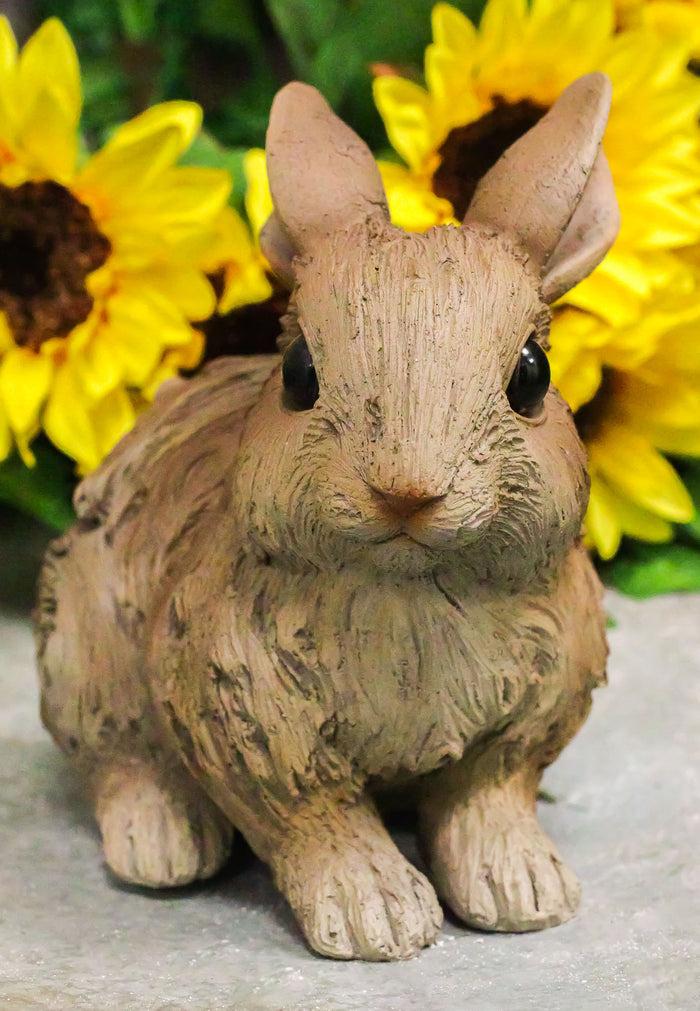 ebros gift Ebros Crouching Bunny Rabbit Resin Statue 5.5"H Faux Driftwood Finish Figurine