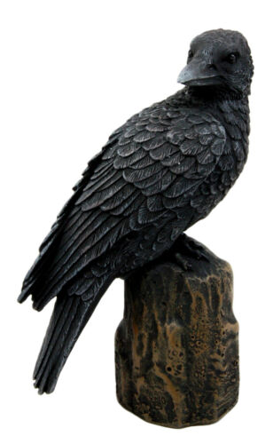 Ebros Gift Ebros Dark Raven Crow Scavenger Bird Perching On Tree Stump Figurine 6"H