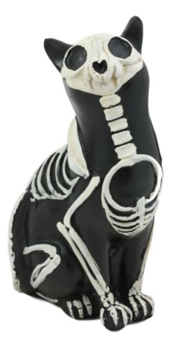 Ebros Gift Ebros Day Of The Dead Bone Skeleton Cat Statue Halloween X-Ray Decor Collectible Crazy For Cats Figurine (Male Cat)