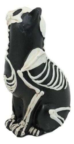 Ebros Gift Ebros Day Of The Dead Bone Skeleton Cat Statue Halloween X-Ray Decor Collectible Crazy For Cats Figurine (Male Cat)