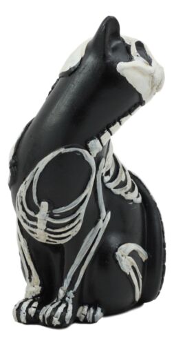 Ebros Gift Ebros Day Of The Dead Bone Skeleton Male Cat Statue Halloween 3D X-Ray Decor Figurine