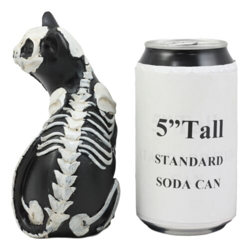 Ebros Gift Ebros Day Of The Dead Bone Skeleton Male Cat Statue Halloween 3D X-Ray Decor Figurine