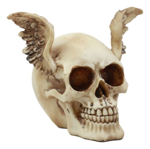 Ebros Gift Ebros Day Of The Dead Guardian Angel Winged Skull Statue Time Waits For No Man Figure