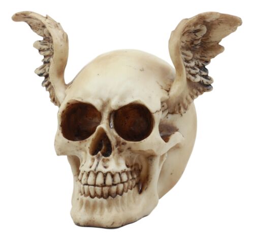 Ebros Gift Ebros Day Of The Dead Guardian Angel Winged Skull Statue Time Waits For No Man Figure