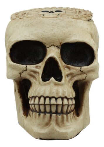 Ebros Gift Ebros DOD Ossuary Skull Cranium Coaster Set Statue Holder W/6 Coasters
