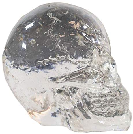 Ebros Gift Ebros Dozen Mini Translucent Clear Skull Gothic Halloween Decor 12pc 1 Inch Tall