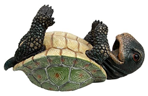 Ebros Gift Ebros Drunken Coastal Sea Turtle Tortoise Wine Bottle Holder Caddy Figurine As Home Kitchen Wine Cellar Decorative Storage Organizer Solution Of Wild Aquatic Animals Turtles Terrapins Tortoises Decor