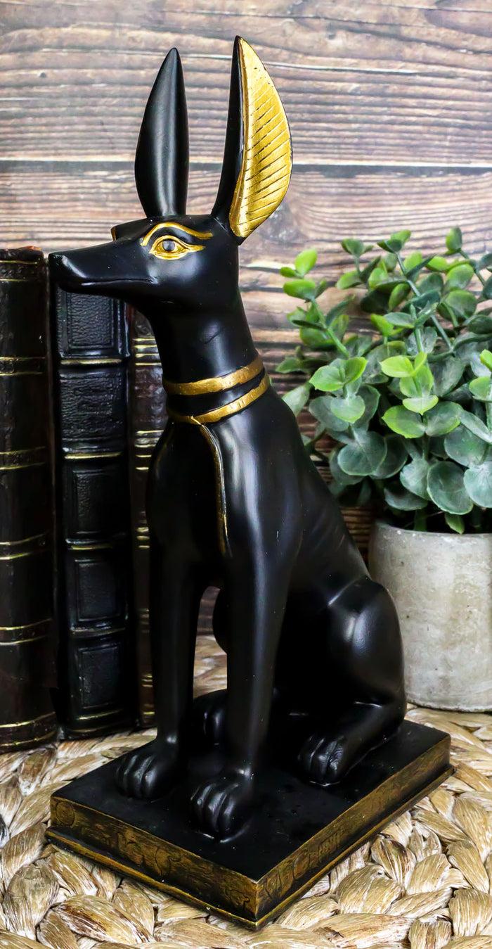 ebros gift Ebros Egyptian Anubis Dog Statue 9"H God Of The Afterlife Embalming And Mummy
