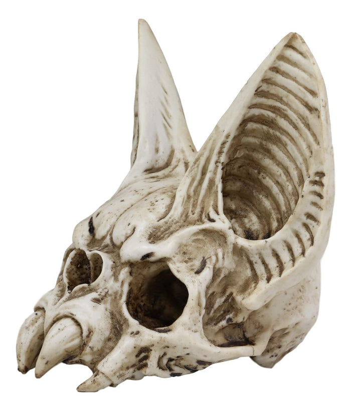 Ebros Gift Ebros Fantasy Demon Vampire Fangs Bat Half Skull Statue Decor 7" High 3D Skulls Figurine Decorative Macabre Halloween Day Of The Dead Sculpture