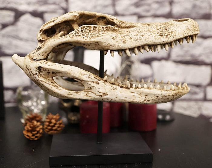 Ebros Gift Ebros Faux Taxidermy Alligator Fossil Skull Baring Jaws And Teeth Statue 14.5"L