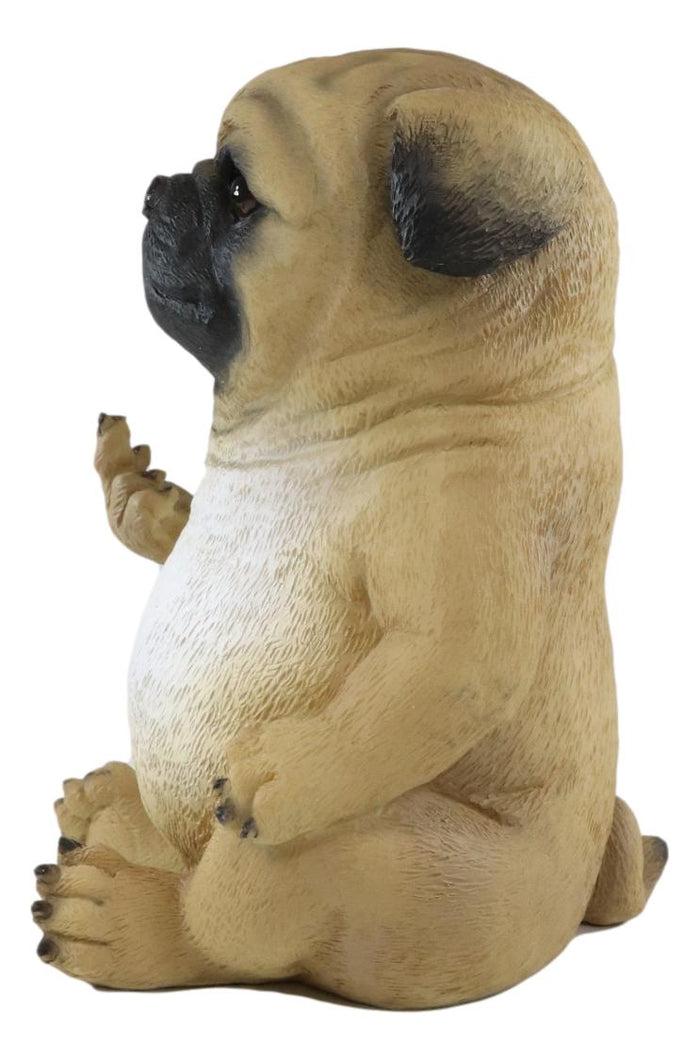 Ebros Gift Ebros Feisty Pooch Rude Fat Pug Puppy Dog Flipping The Bird Figurine Guest Greeter