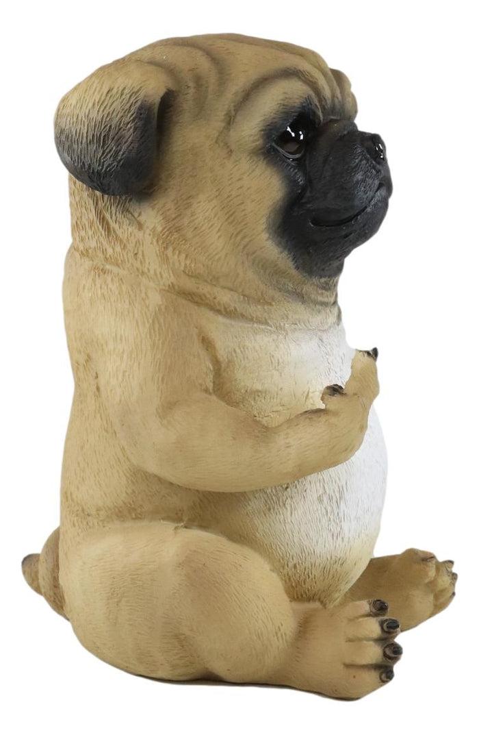 Ebros Gift Ebros Feisty Pooch Rude Fat Pug Puppy Dog Flipping The Bird Figurine Guest Greeter