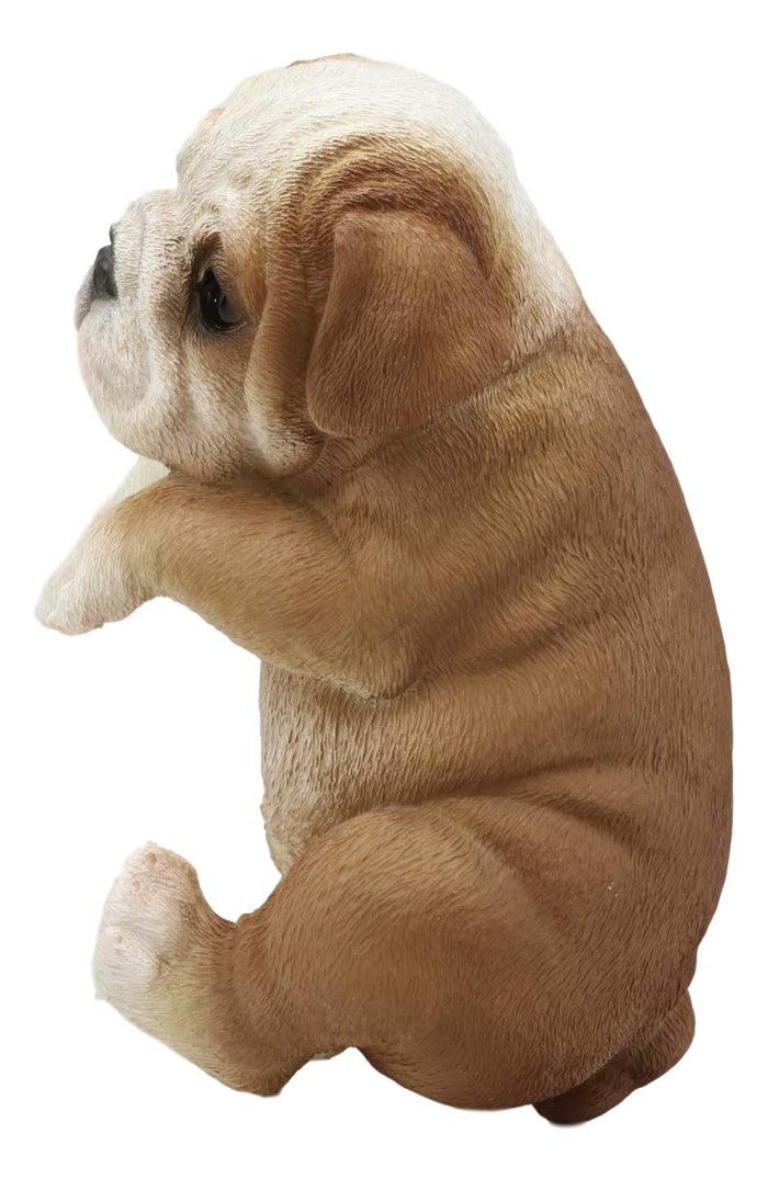 Ebros Gift Ebros Garden Pot Hanging Bulldog Statue 7.5" Tall With Glass Eyes Pet Figurine