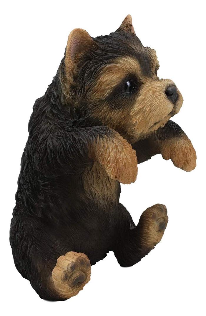 Ebros Gift Ebros Garden Pot Hanging Yorkshire Terrier Statue 8" Tall With Glass Eyes Yorkie