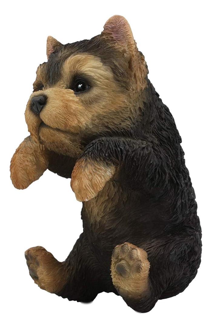 Ebros Gift Ebros Garden Pot Hanging Yorkshire Terrier Statue 8" Tall With Glass Eyes Yorkie