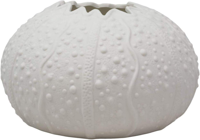 Ebros Gift Ebros Gift 7.5" Diameter Large Nautical Ocean Marine Albino White Sea Urchin Shell Ceramic Sculpture Pot As Deep Blue Sea Life Urchins Figurine Decor Accent Seashell (2)