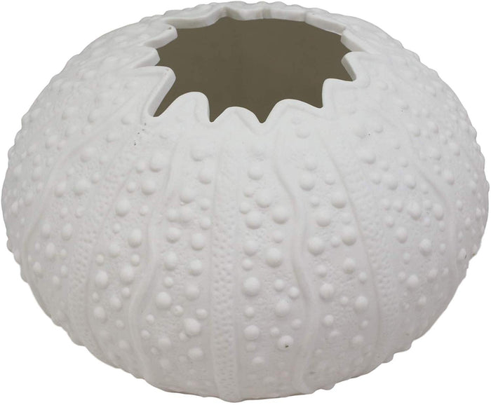 Ebros Gift Ebros Gift 7.5" Diameter Large Nautical Ocean Marine Albino White Sea Urchin Shell Ceramic Sculpture Pot As Deep Blue Sea Life Urchins Figurine Decor Accent Seashell (2)