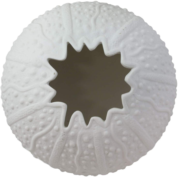 Ebros Gift Ebros Gift 7.5" Diameter Large Nautical Ocean Marine Albino White Sea Urchin Shell Ceramic Sculpture Pot As Deep Blue Sea Life Urchins Figurine Decor Accent Seashell (2)
