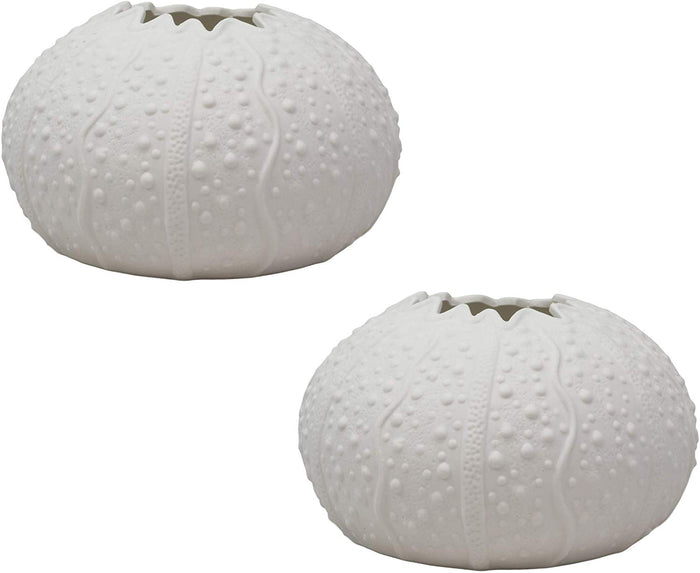 ebros gift Ebros Gift 7.5" Diameter Large Nautical Ocean Marine Albino White Sea Urchin Shell Ceramic Sculpture Pot As Deep Blue Sea Life Urchins Figurine Decor Accent Seashell (2)