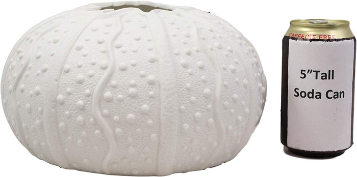 Ebros Gift Ebros Gift 7.5" Diameter X Large Nautical Ocean Marine Albino White Sea Urchin Shell Ceramic Sculpture Vase Pot As Deep Blue Sea Life Urchins Figurine Decor Accent Seashell (2)