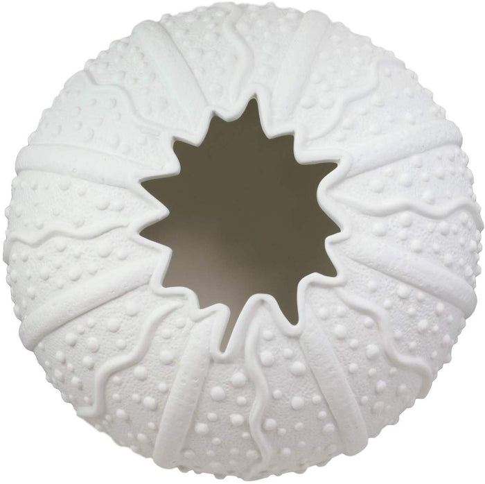 Ebros Gift Ebros Gift 7.5" Diameter X Large Nautical Ocean Marine Albino White Sea Urchin Shell Ceramic Sculpture Vase Pot As Deep Blue Sea Life Urchins Figurine Decor Accent Seashell (2)