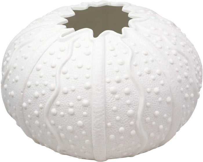 Ebros Gift Ebros Gift 7.5" Diameter X Large Nautical Ocean Marine Albino White Sea Urchin Shell Ceramic Sculpture Vase Pot As Deep Blue Sea Life Urchins Figurine Decor Accent Seashell (1)