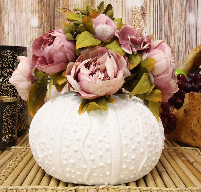 ebros gift Ebros Gift 7.5" Diameter X Large Nautical Ocean Marine Albino White Sea Urchin Shell Ceramic Sculpture Vase Pot As Deep Blue Sea Life Urchins Figurine Decor Accent Seashell (1)