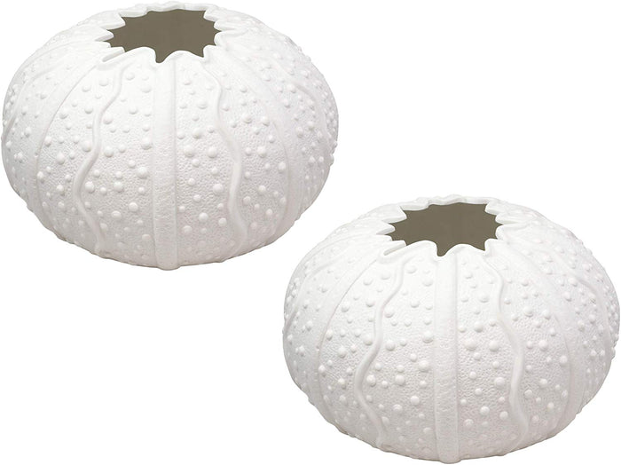 ebros gift Ebros Gift 7.5" Diameter X Large Nautical Ocean Marine Albino White Sea Urchin Shell Ceramic Sculpture Vase Pot As Deep Blue Sea Life Urchins Figurine Decor Accent Seashell (2)