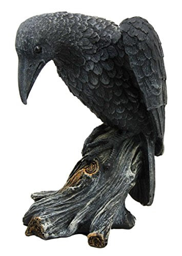 ebros gift Ebros Gift Dark Death Raven Crow Stalking Prey On Cliff Top Scavenger Bird Figurine 7.25"H