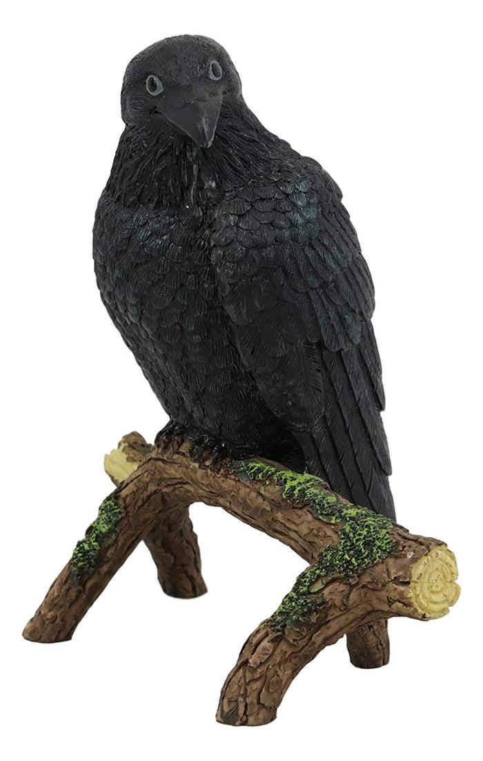 Ebros Gift Ebros Gift Gothic Raven Crow Perching On Tree Branch Scavenger Bird Figurine 5.75" High
