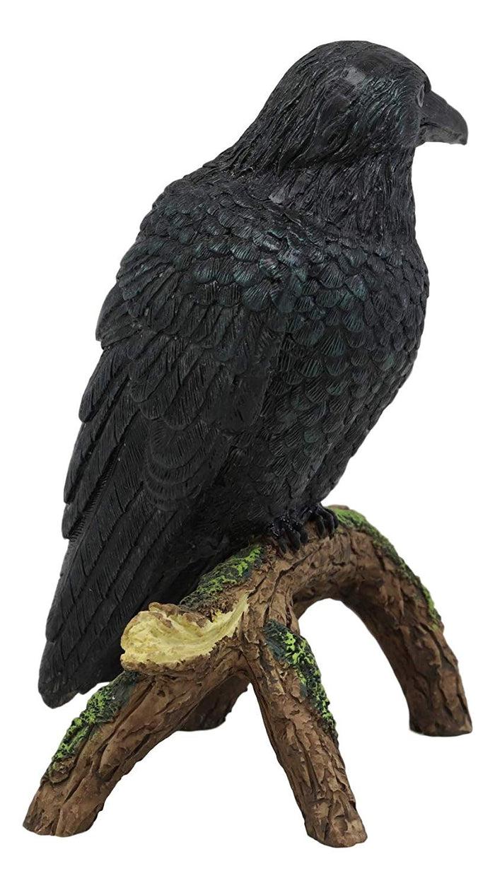 Ebros Gift Ebros Gift Gothic Raven Crow Perching On Tree Branch Scavenger Bird Figurine 5.75" High