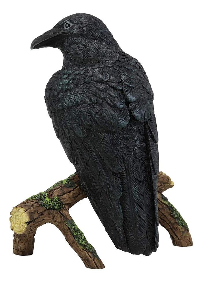 Ebros Gift Ebros Gift Gothic Raven Crow Perching On Tree Branch Scavenger Bird Figurine 5.75" High
