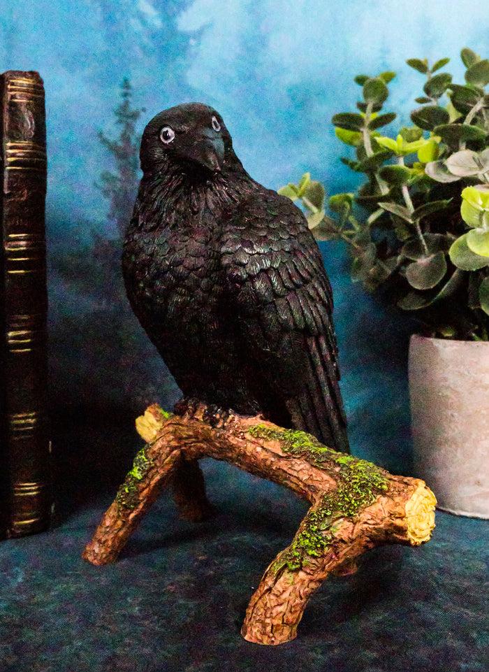 ebros gift Ebros Gift Gothic Raven Crow Perching On Tree Branch Scavenger Bird Figurine 5.75" High