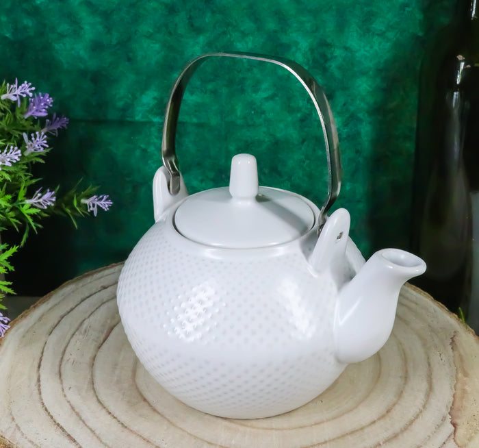 ebros gift Ebros Gift Imperial Spotted Texture Teapot With Stainless Steel Handle 28oz (White)