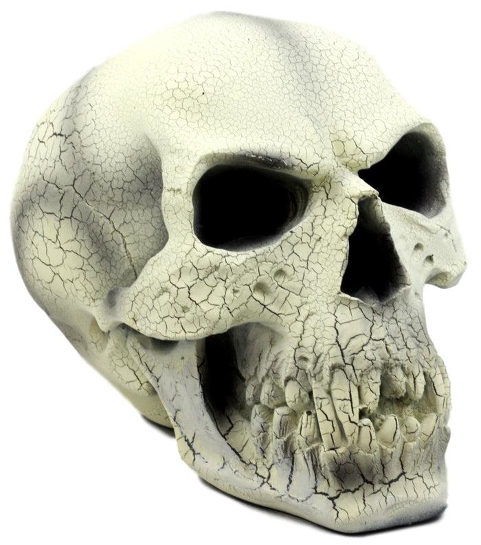 ebros gift Ebros Gift Imploding Vampire Skull Statue 8"L Disintegrating Dracula Skeleton Head Figurine