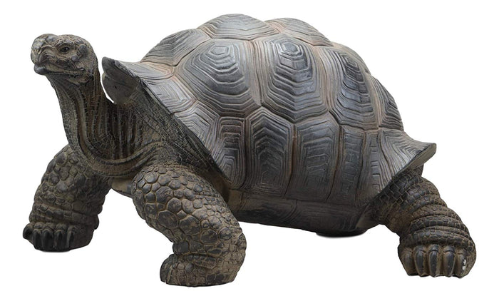 Ebros Gift Ebros Gift Realistic Lifelike Galapagos Giant Tortoise Statue 17.25" Wide Marine Reptile Tortoises Garden Greeter Home And Patio Gallery Quality Sculpture