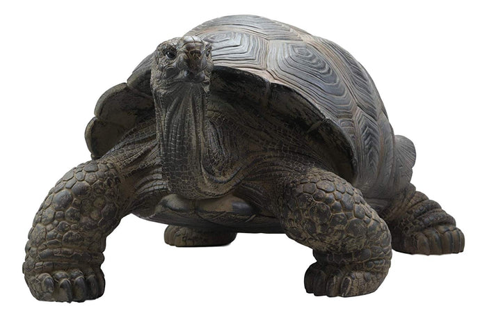 Ebros Gift Ebros Gift Realistic Lifelike Galapagos Giant Tortoise Statue 17.25" Wide Marine Reptile Tortoises Garden Greeter Home And Patio Gallery Quality Sculpture