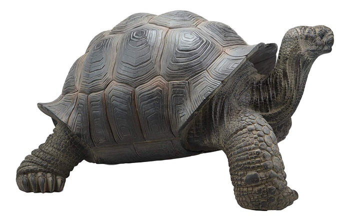 Ebros Gift Ebros Gift Realistic Lifelike Galapagos Giant Tortoise Statue 17.25" Wide Marine Reptile Tortoises Garden Greeter Home And Patio Gallery Quality Sculpture