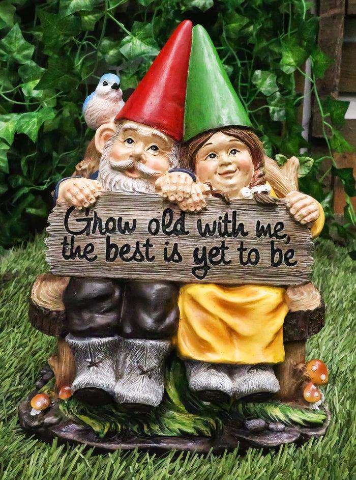 ebros gift Ebros Gift Whimsical Mr & Mrs Gnome Sitting On Rustic Chair with Blue Bird Statue Grow Old with Me Guest Greeter Patio