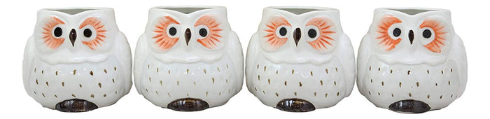 Ebros Gift Ebros Gift Whimsical Tundra Forest Big Eyed White Snow Owl Ceramic 11oz Drinking Mugs Set Of 4 As Kitchen Dining Home Decor Of Owls Owlet Nocturnal Bird Novelty Mug Cups For Coffee Tea Milk Beverage