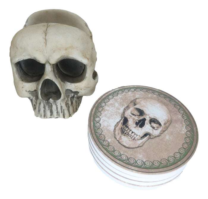 Ebros Gift Ebros Gothic Bone Cream Homosapien Half Skull Base Holder With 4 Coasters Set