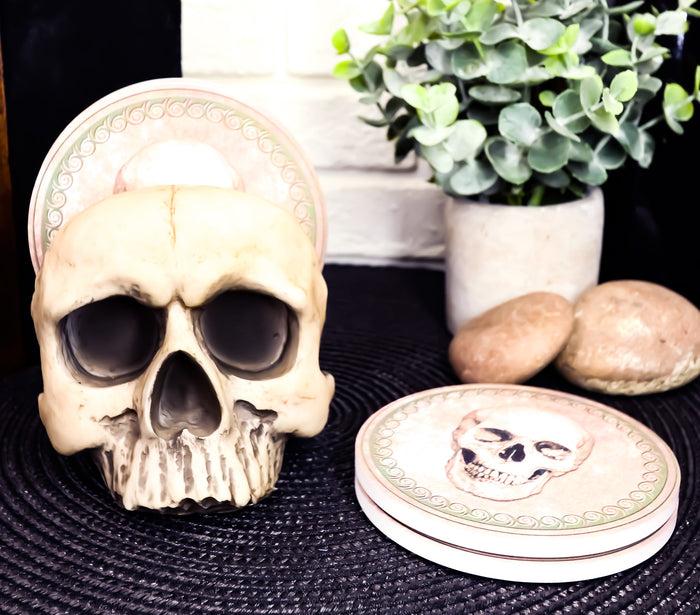 ebros gift Ebros Gothic Bone Cream Homosapien Half Skull Base Holder With 4 Coasters Set