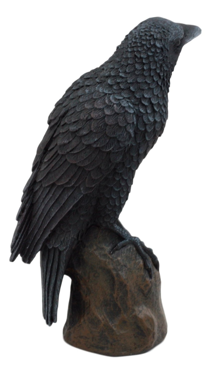 Ebros Gift Ebros Gothic Raven Statue Crow Scavenger Bird Perching On Rock Figurine 6"H